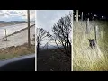 AROUND WYOMING Rollover Crash Black Bear Sighting and Weiser Knoll Fire Update