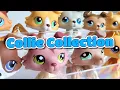 My Full LPS Collie Collection Littlest Pet Shop Collection Pt 2