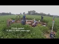 Michigan archaeology discoveries change what know about our ancestors