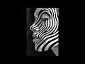 AVAION, Sofiya Nzau - Wacuka (Ozgur Mete Remix) #deephouse #visualizer