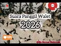 Lagu Suara Panggil Walet Terbaru 2026
