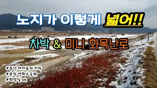 [노지 차박] 차박에 미니 화목난로 설치/중년 여자들의 겨울 노지 차박/ 문막 연화소공원/겨울캠핑/댕댕이들의 차박 썸네일