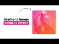 Gradient Image Overlay Hover Effect using HTML CSS