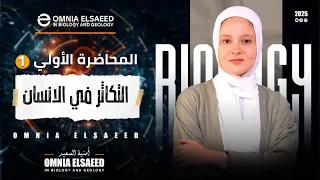 شرح التكاثر في الإنسان الجهاز التناسلي الذكري والانثوي ومراحل تكوين الأمشاج الصف الثالث الثانوي 