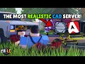 I played the most Realistic CAD Server in ER LC Sonoran CAD