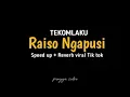Download Lagu Raiso Ngapusi - speed up + reverb viral Tiktok