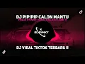 Download Lagu DJ PIPIPIP CALON MANTU FELIK FVNKY VIRAL TIKTOK TERBARU 2024!!!