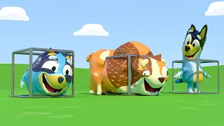 Bluey Parodies - Fun Experiments! 🐶😄