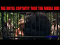 Download Lagu “They Jailed Diana” — The Secret The Palace Tried to Erase