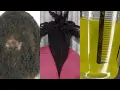 HOW TO MAKE WHITE ONION JUICE FOR UNSTOPPABLE HAIR GROWTH YOU WILL BE SHOCKED