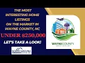 The Most Interesting Home Listings Under 250k in Wayne County NC 24
