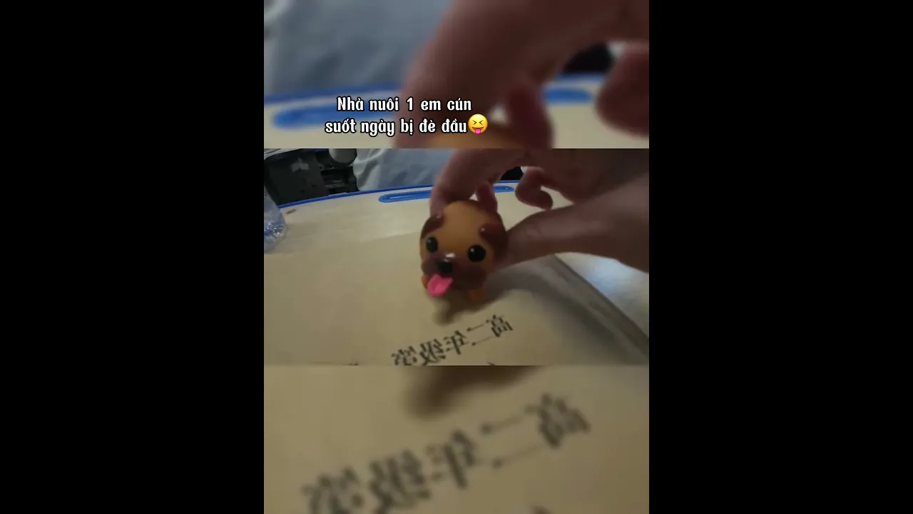 #douyin #toys #xh