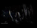 Signs of the Swarm - IWONTLETYOUDIE (Lyrics/Sub Español)