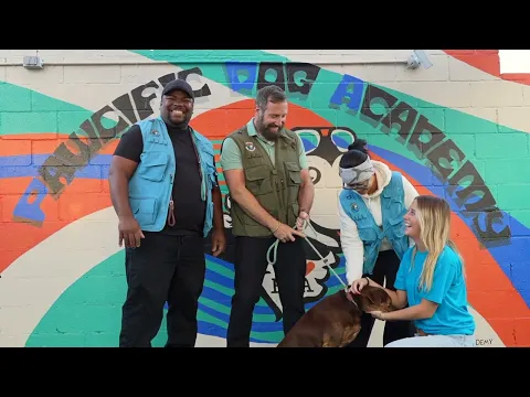 Pawcific Dog Academy dog training video
