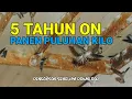 Download Lagu Suara Inap Walet sudah Panen Puluhan Kilo Sarang Walet