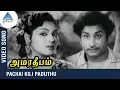 Download Lagu Pachai Kili Paduthu Video Song | Amara Deepam Tamil Movie | Sivaji | Padmini | Pyramid Glitz Music