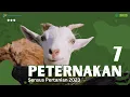 Download Lagu Peternakan - Sensus Pertanian 2023