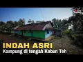 Download Lagu INDAH ASRI, KAMPUNG DI TENGAH KEBUN TEH BATANG