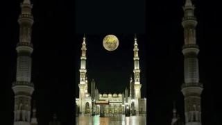 نشيد نور أضاء بصيرتي دندنها