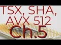 Intel Instructions 60 TSX SHA AVX 512
