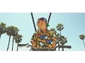 Salmo - Venice Beach
