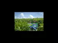 Download Lagu Lagu Karo Kam Rudang   Novita br Barus