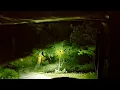 Download Lagu Night Drive ! First Night Drive by Force Gurkha near Rajaji Tiger Reserve | Horror on the Wild Road