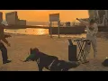 Lagu Chill UKG Mix - Live at Seoul City \u0026 lovely sunset view