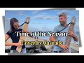 Download Lagu Time of the Season – The Zombies | Chapman Stick Duo Cover MP3