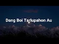 Download Lagu Dang Boi Tarlupahon Au - Putri SIagian (Lirik Lagu Terjemahan)