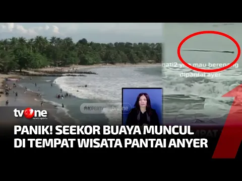 Perhatikan Tanda Panah! Buaya Menampakkan Diri di Tempat Wisata