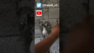 اشياء يغفل هنا السباك 