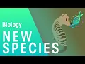 Formation of New Species by Speciation Evolution Biology FuseSchool