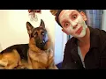 When your dog gives you the side eye Funny Dog and Human 2024