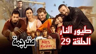مسلسل طيور النار الحلقة 29مترجمة بالعربية 