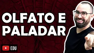 Olfato e Paladar - Aula 41 - Módulo VII: Histologia e Fisiologia Humana | Prof. Gui
