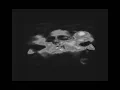 Wegh - Halef Selef [curcuna, slowed]