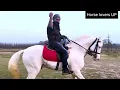 Motivational for all horse lovers