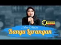 Download Lagu Banyu Larangan Aan Anisa | Musik Pantura Si Paling hits