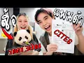 Download Lagu เซอร์ไพรส์แฟน ซื้อแพนด้าให้ฉลองเป็นแฟนกัน 15 ปี