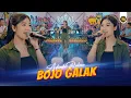 Download Lagu ADINDA RAHMA - BOJO GALAK ( Official Live Video Royal Music )