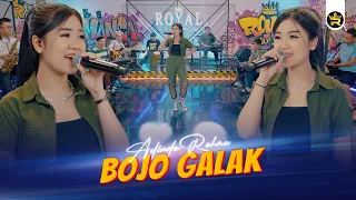 adinda rahma bojo galak official live video royal music 