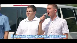 Скажи чия вина  Скажи чия вина