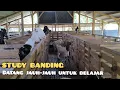 Download Lagu 1: Study Banding Di Kandang Kang Suhar