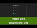 Pure Css Custom Radio Button No JavaScript HTML CSS