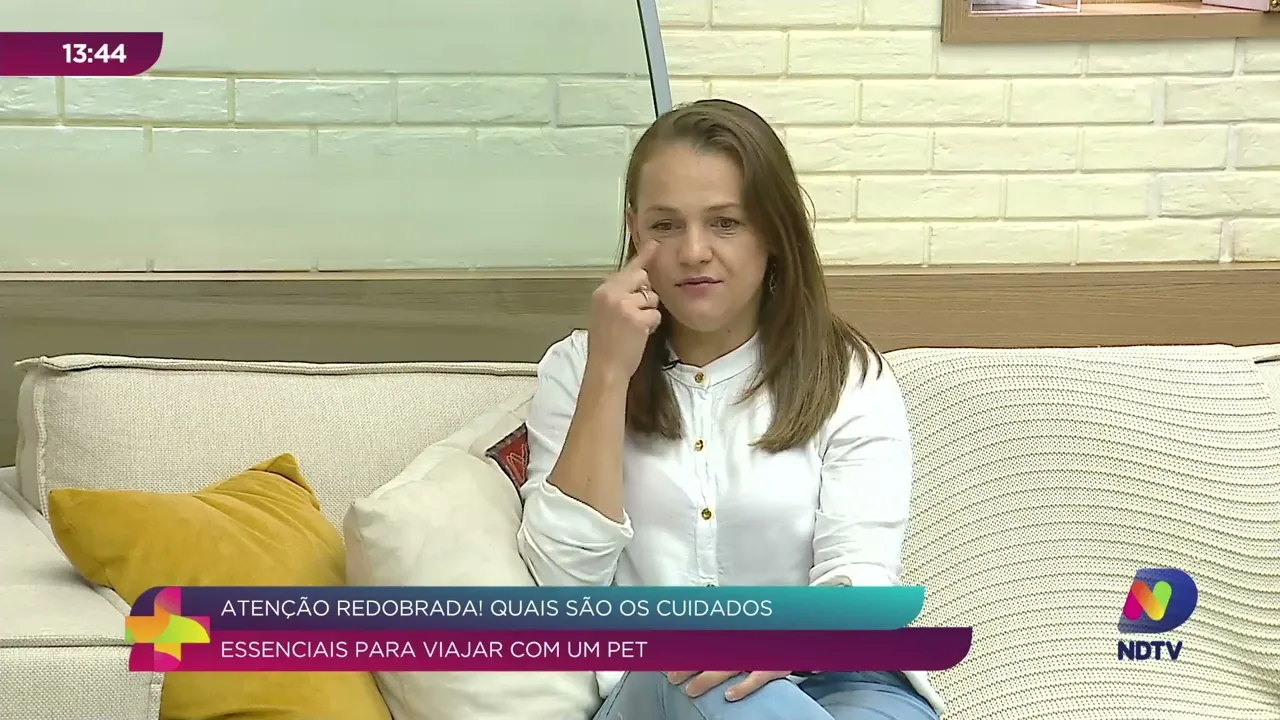 Transporte de Animais: Cuidados Essenciais para Viagens Seguras