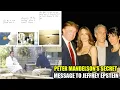 Download Lagu De schokkende boodschap van Peter Mandelson in het verjaardagsboek van Jeffrey Epstein | NewsDrif...