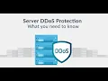 Array Networks DDoS Attack Explained DDos Attacks DDos Mitigation