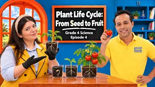 Plant Life Cycle: From Seed to Fruit l Grade 4 Science l Episode 4