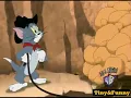 Download Lagu Tom and Jerry 330 part:2 | 24 Karat Kat 2007